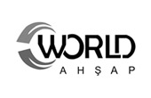 World Ahşap Asansör Kiralama